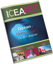 Télécharger la revue numérique des étudiants de l'ICEA Mag n°1